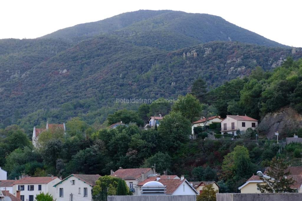 Photo de Chez Dodi