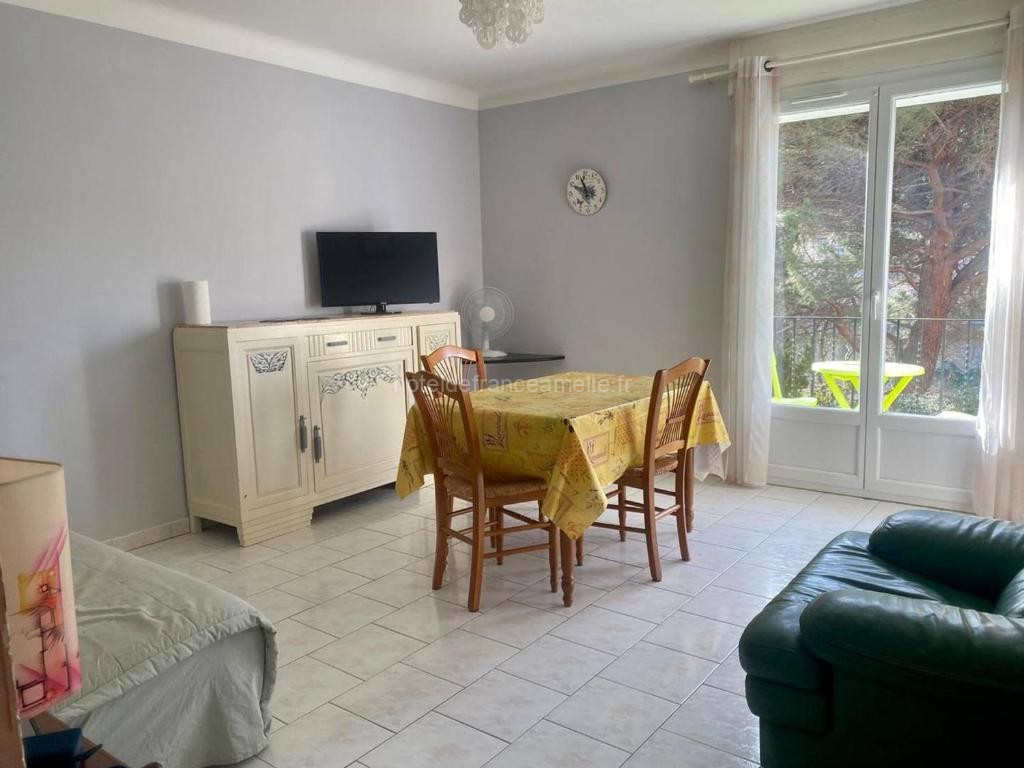 Photo de F2 ensoleillé près des thermes, animaux admis - FR-1-703-203