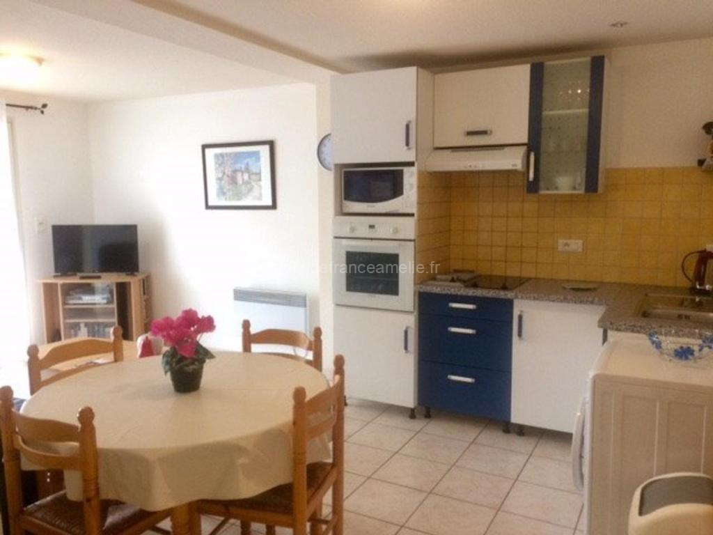 Charmant F2 avec Terrasse, Clim, Parking, Animaux OK - Amélie-les-Bains