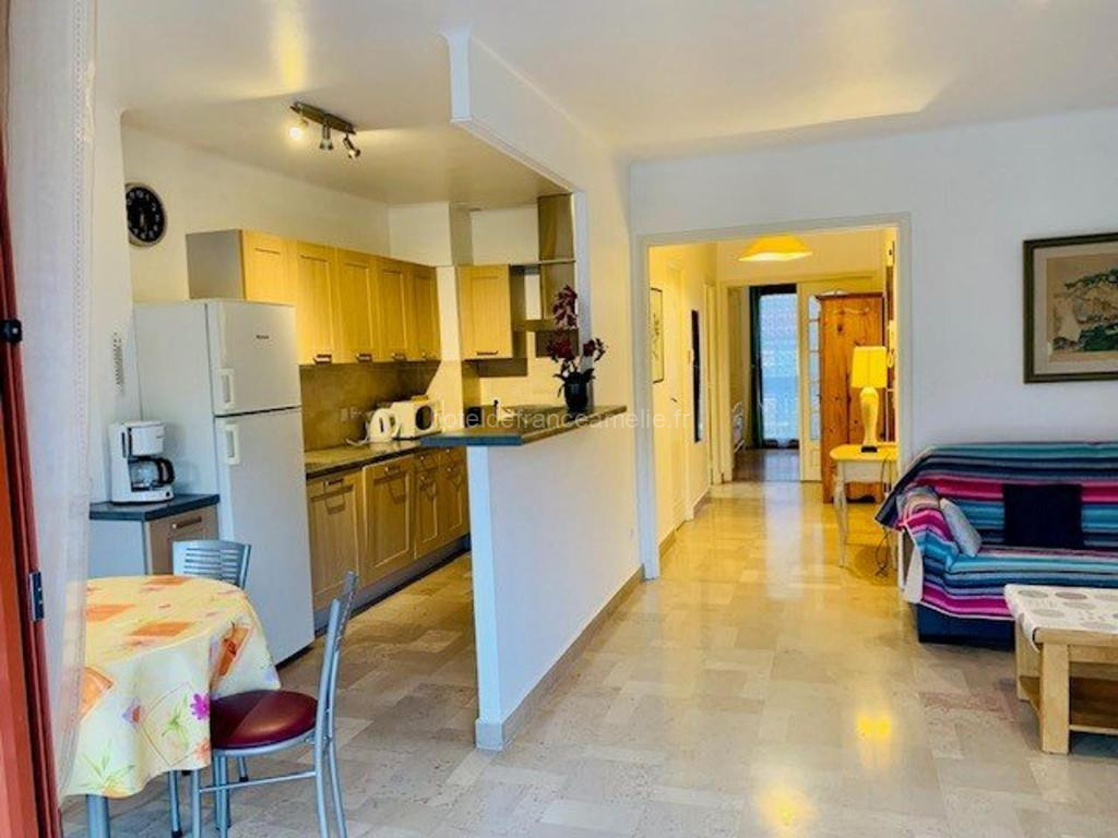 Appartement F2 moderne avec wifi et garage à Amélie-les-Bains