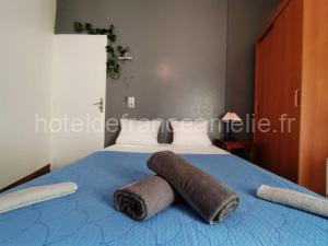 Appartement T3 N4 Appartement Hôtel Combes à Amélie-les-Bains-Palalda