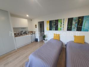 Photo de l'Appartements Studio Amèlie les bains à Amélie-les-Bains-Palalda