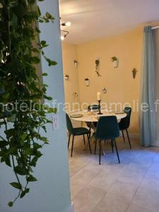 Joli studio rénové situé au pied des thermes à Amélie-les-Bains-Palalda