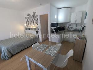 Studio Rue Castellane pour Cure ou Tourisme Vert à 2 min des Thermes à Amélie-les-Bains-Palalda