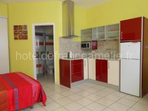 Les Mimosas à Amélie-les-Bains-Palalda