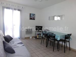 Appartement F2 avec Ascenseur, WIFI et Animaux Acceptés à Amélie-les-Bains - FR-1-703-1 à Amélie-les-Bains-Palalda