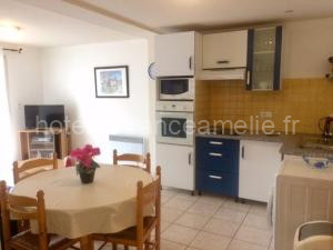 Charmant F2 avec Terrasse, Clim, Parking, Animaux OK - Amélie-les-Bains - FR-1-703-44 à Amélie-les-Bains-Palalda