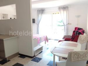 Charmant F1 avec terrasse et garage, proche cures et centre-ville d'Amélie-les-Bains. - FR-1-703-73 à Amélie-les-Bains-Palalda
