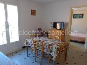 Appartement F2 cosy, 4 couchages, centre-ville, proche cures, balcon, animaux acceptés - FR-1-703-102 à Amélie-les-Bains-Palalda