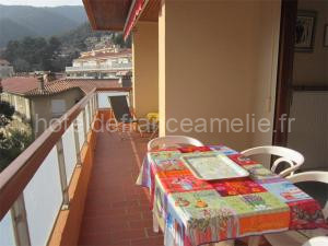 Appartement F3 avec Terrasse, Garage et Wifi - 4 Couchages - Proche Cures et Centre Ville - FR-1-703-113 à Amélie-les-Bains-Palalda