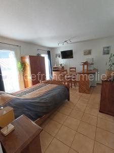 Studio cosy tout confort à Amélie-les-Bains-Palalda