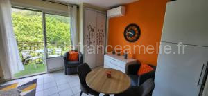 Studio climatisé à 50 m des thermes à Amélie-les-Bains-Palalda